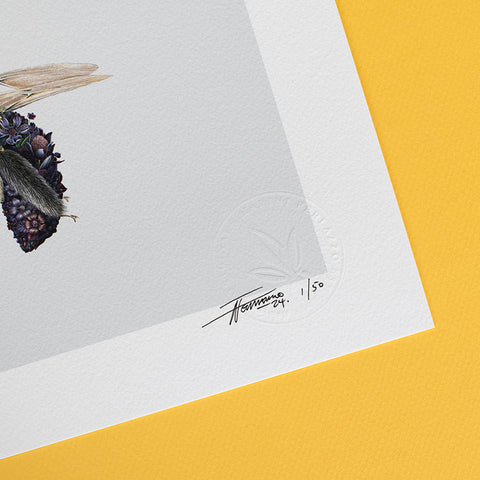Australian Bees – Limited Edition Print