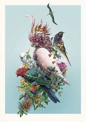 Australian Avians – Limited Edition Print