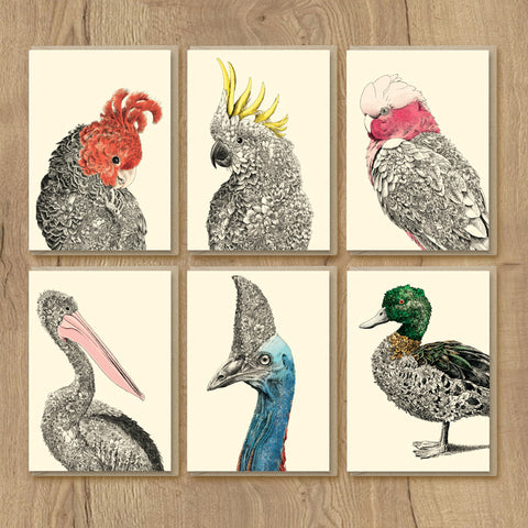 Greeting Cards – Australian Birds (Set of 6)