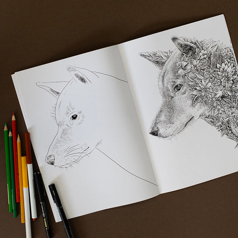 Colouring Book – Australian Bushwalk