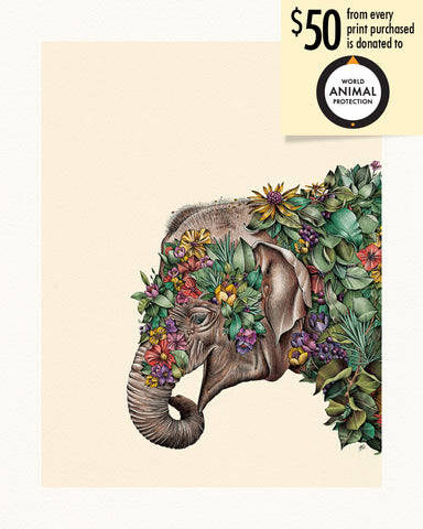 Asian Elephant Calf – Giclée Print