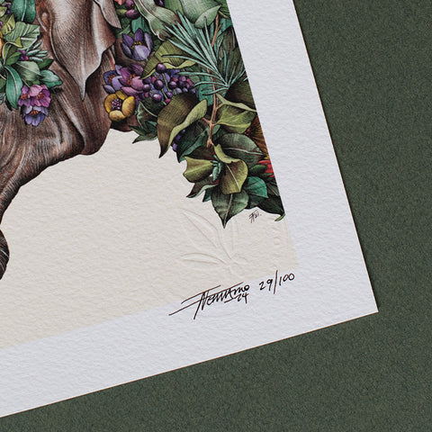 Asian Elephant Calf – Giclée Print