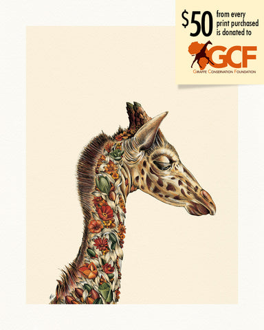 Giraffe Calf – Giclée Print