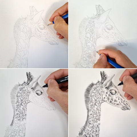 Giraffe Calf – Giclée Print