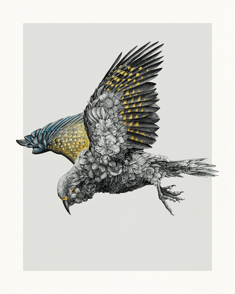 Kea – Limited Edition Print