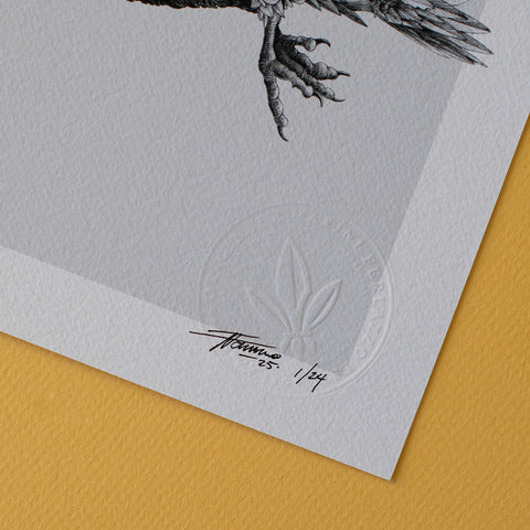 Kea – Limited Edition Print