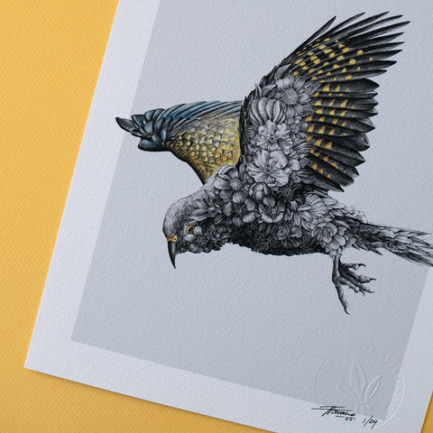 Kea – Limited Edition Print