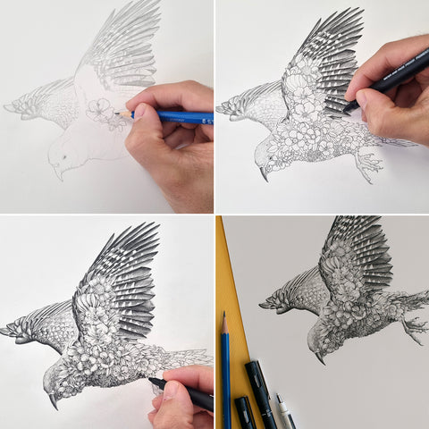 Kea – Limited Edition Print