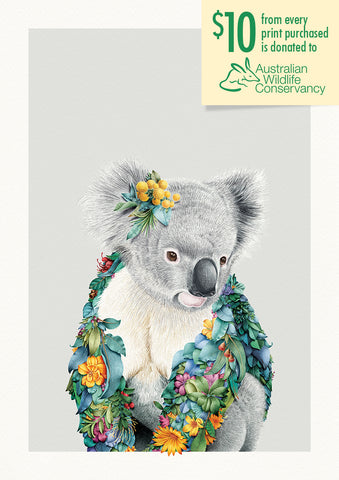Koala Portrait – Limited Edition Print
