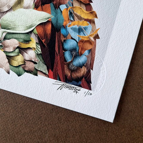 Kookaburra Portrait – Limited Edition Print