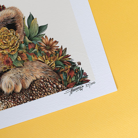 Lion Cub – Giclée Print