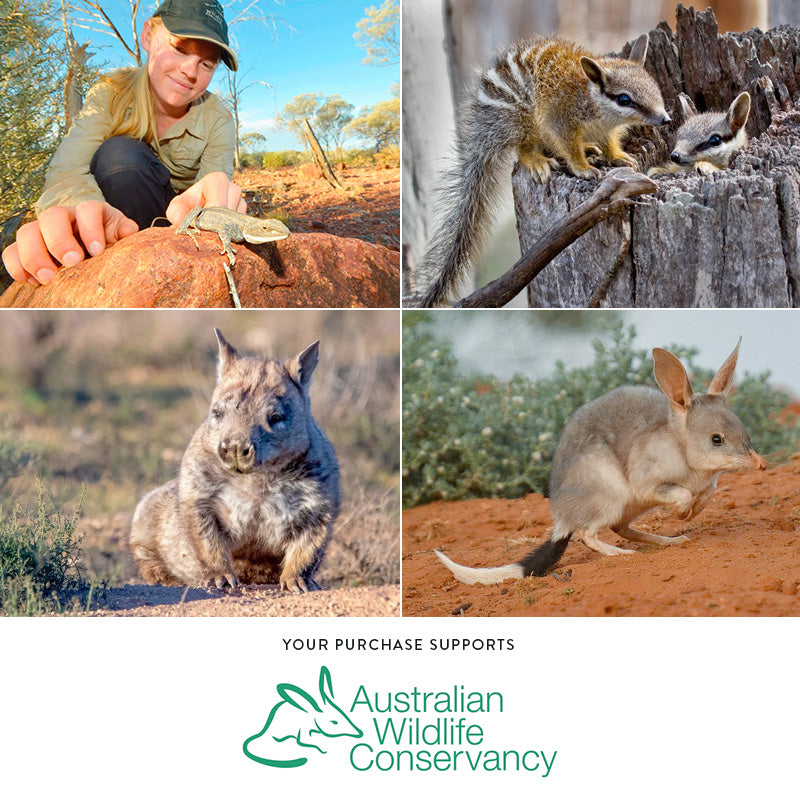 Hard Cover Writing Journal – Ringtail Possum