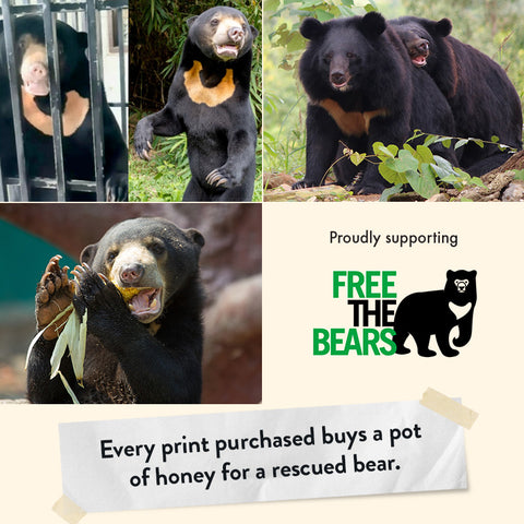 Sun Bear – Giclée Print