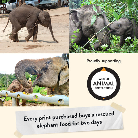 Asian Elephant Calf – Giclée Print
