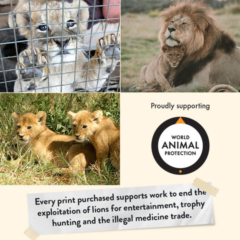 Lion Cub – Giclée Print