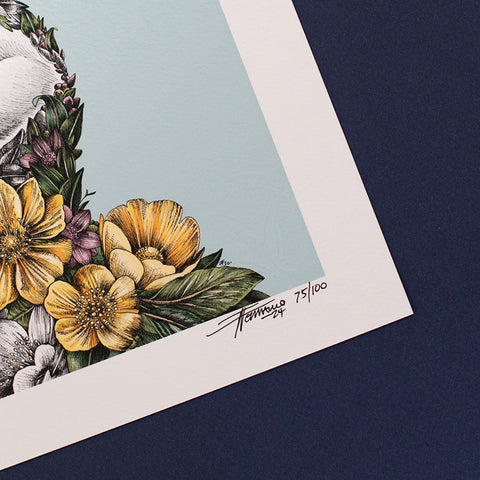 Atlantic Puffin – Giclée Print