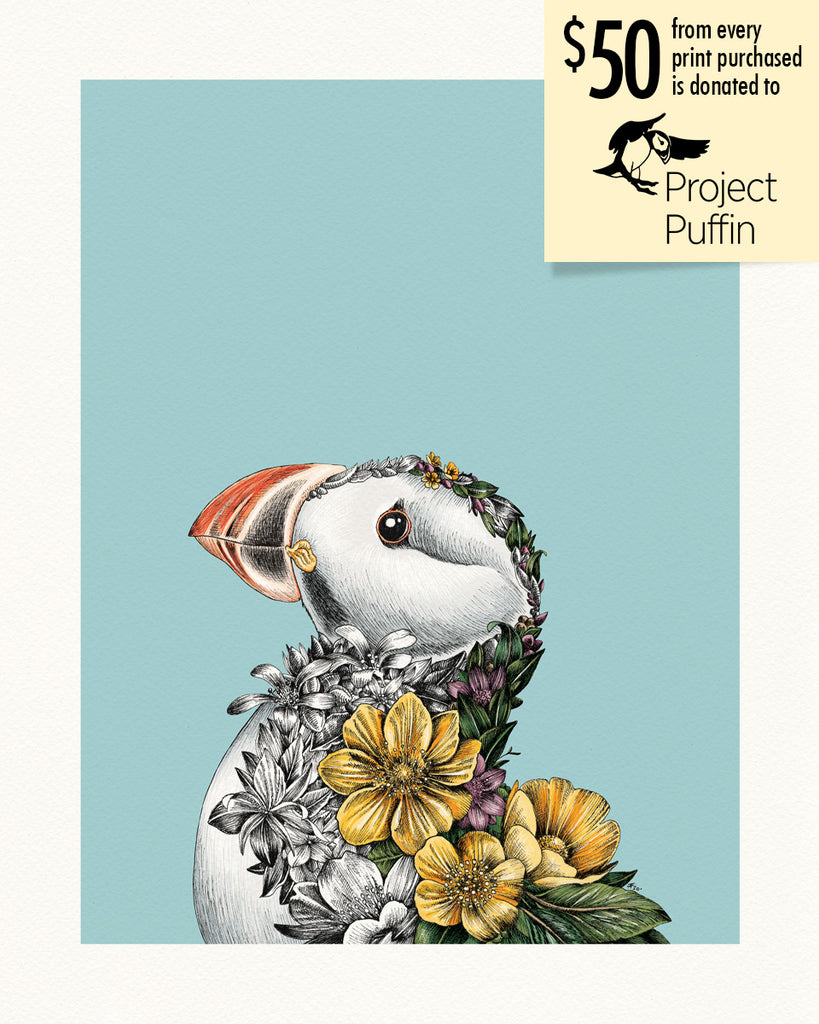 Atlantic Puffin – Giclée Print