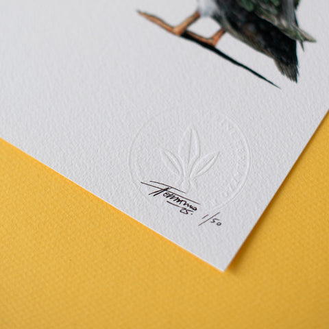 Puffin Couple – Limited Edition Print