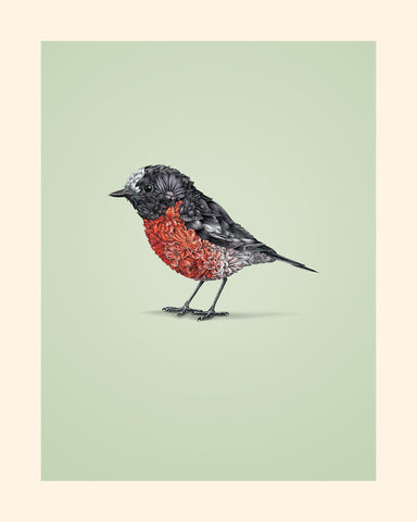 Scarlet Robin – Giclee Print