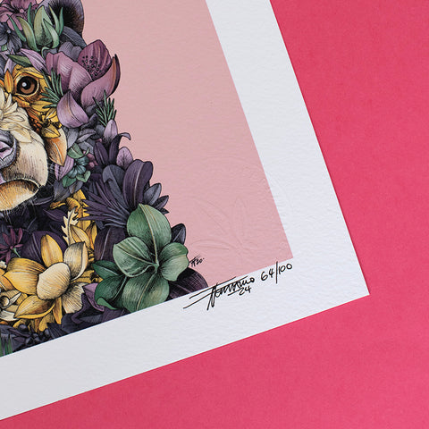 Sun Bear – Giclée Print