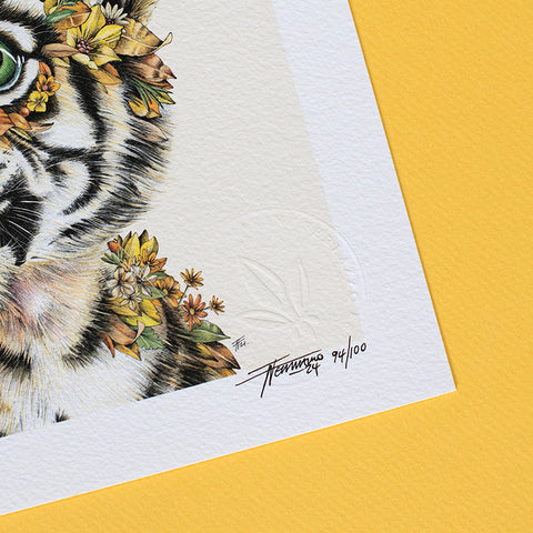 Tiger Cub – Giclée Print
