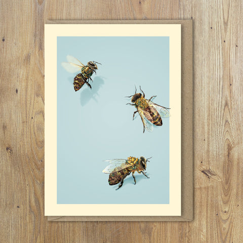Greeting Cards– Honey Bees (Set of 6)