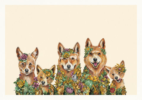 Dingo Family - Giclée Print