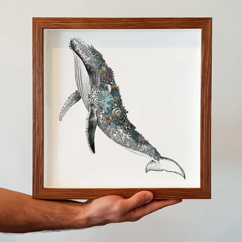 Humpback Whale - Giclée Print