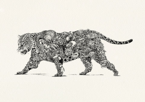 Jaguar / South America - Giclée Print