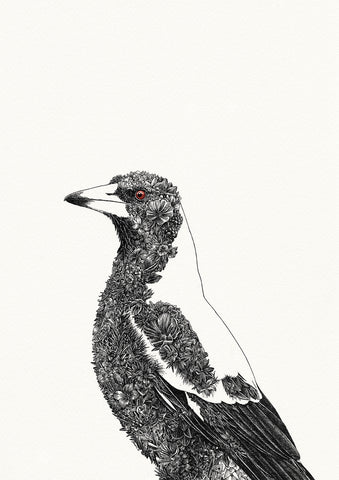 Australian Magpie - Giclée Print