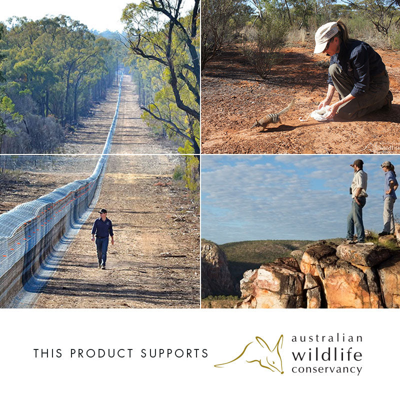 Wombat Walk - Artist Proof