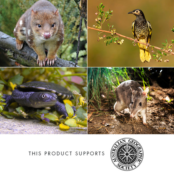 Banjo the Platypus Giclée Print Marini Ferlazzo Art for Wildlife