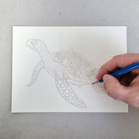 Sea Turtle - ORIGINAL