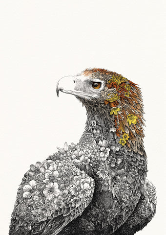 Wedge-tailed Eagle - Giclée Print