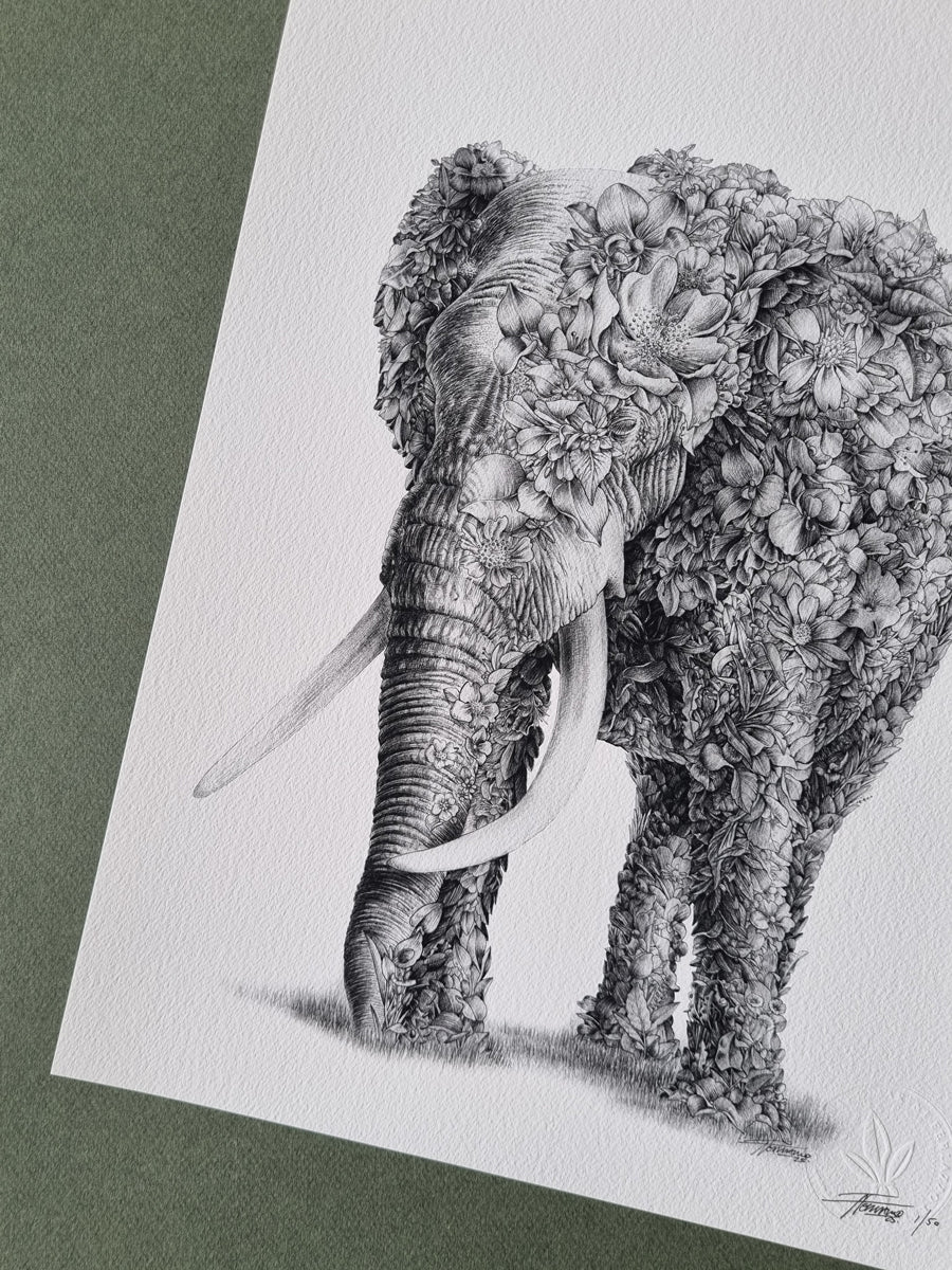 African Elephant – Limited Edition Print