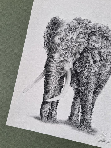 African Elephant – Limited Edition Print