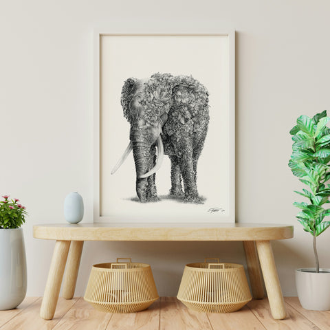 African Elephant – Limited Edition Print