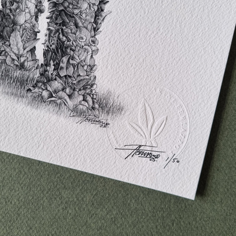 African Elephant – Limited Edition Print