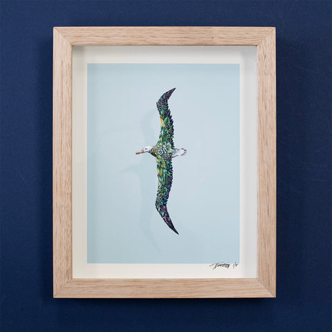 Albatross – Giclee Print
