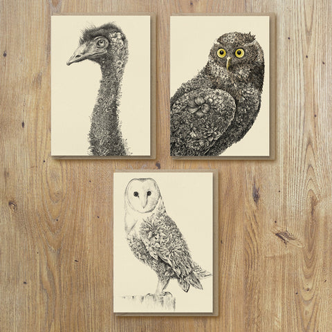 Greeting Cards – Birds (Set of 6)
