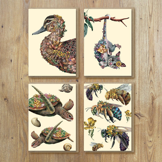 Greeting Cards – Austral (Set of 8)