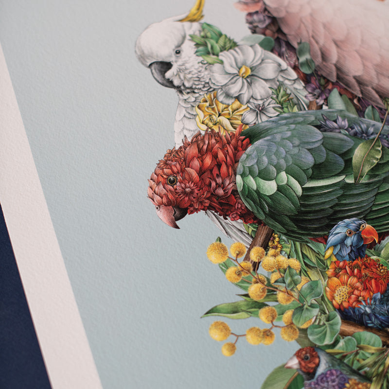 Australian Avians – Limited Edition Print