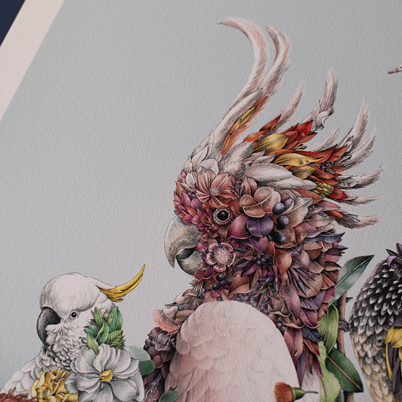 Australian Avians – Limited Edition Print