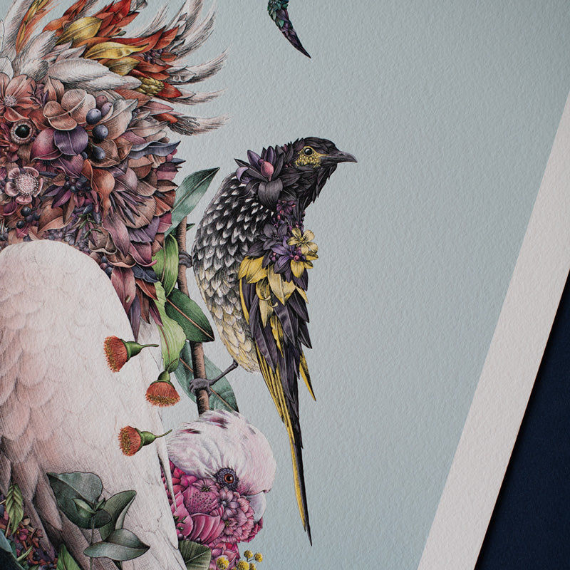Australian Avians – Limited Edition Print