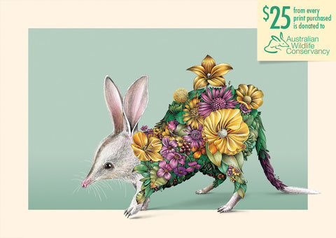 Bilby Bushwalk - Giclée Print