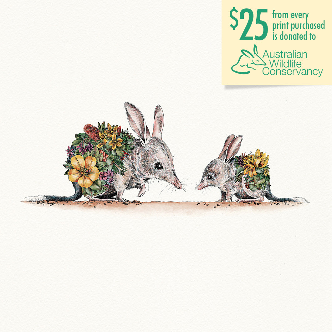 Bilby & Joey - Giclée Print