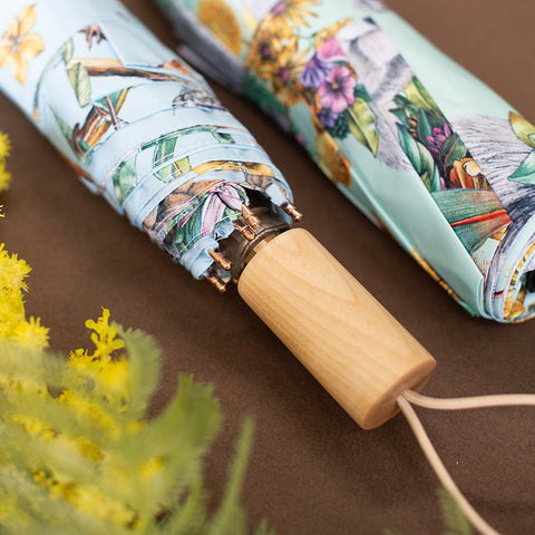 Umbrella – Birds of Australia