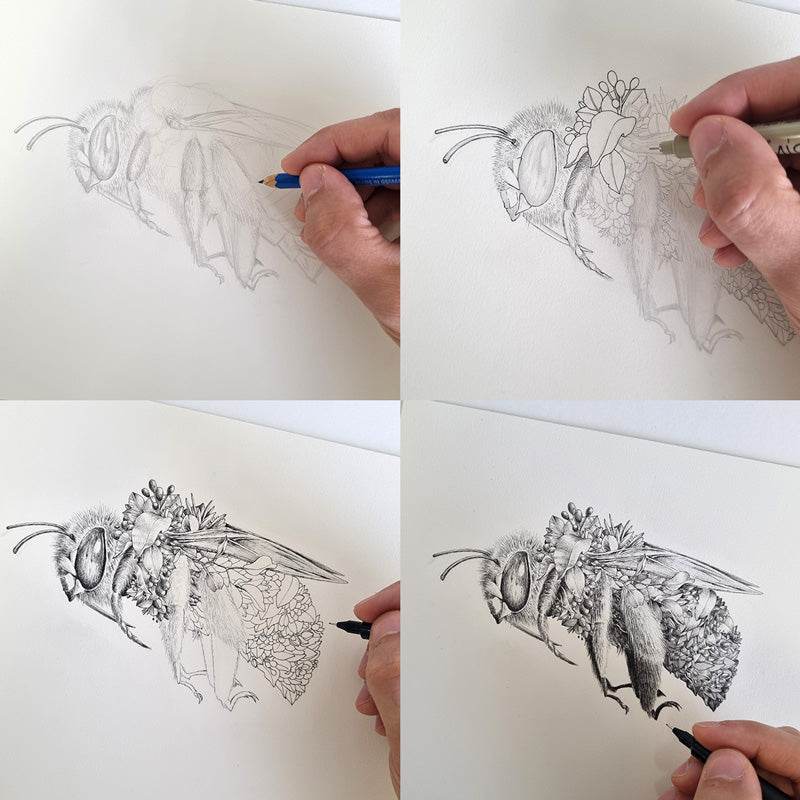 Australian Bees – Limited Edition Print
