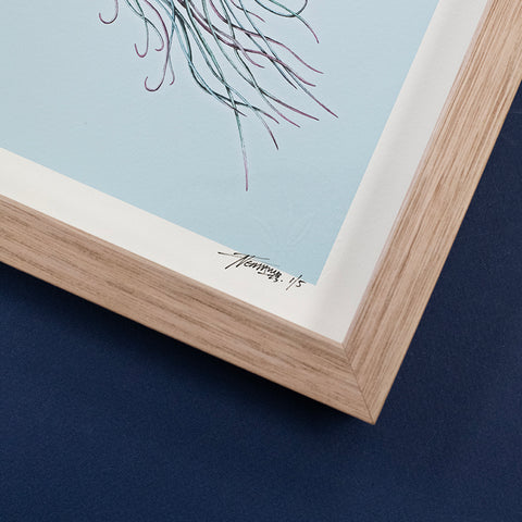 Box Jellyfish – Giclee Print