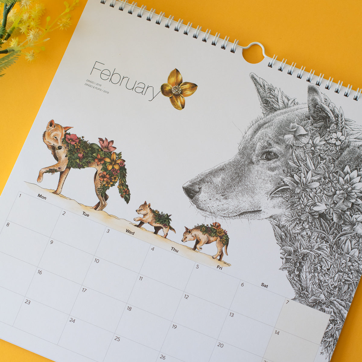 2027 Calendar – Wild Australia Special Edition